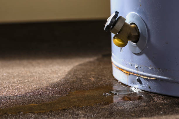 Best Emergency water damage restoration  in Lone Jack, MO