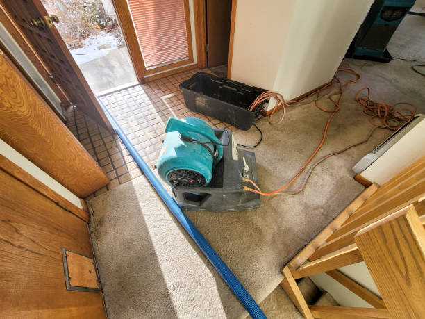 Best Fire Damage Restoration  in Lone Jack, MO