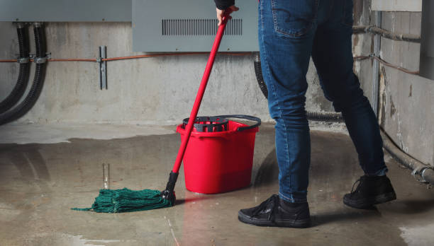 Best Water damage restoration company  in Lone Jack, MO