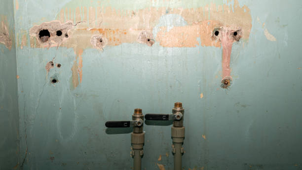 Best Flood restoration services  in Lone Jack, MO